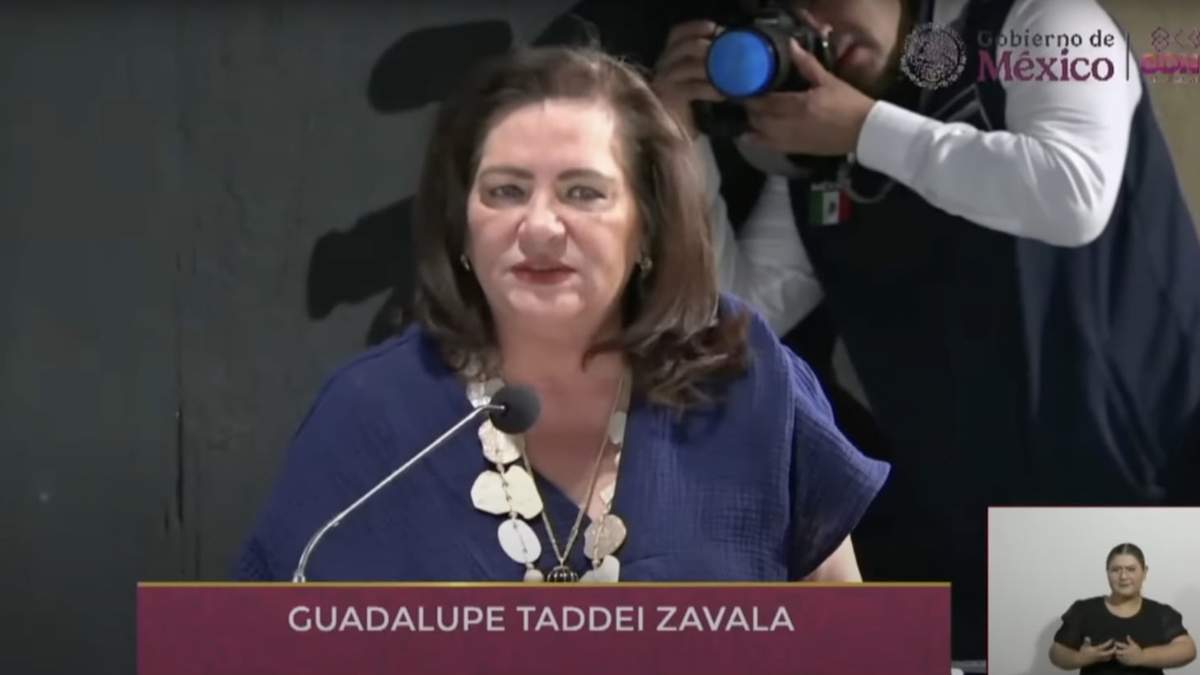 Guadalupe Taddei en la audiencia pública organizada por la comisión presidencial