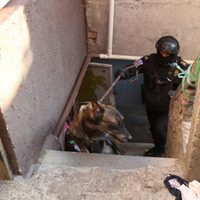 Caen 10 con droga en cateo realizado en la Miguel Hidalgo