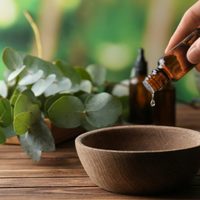 La planta que podés poner en el baño para mejorar tu salud en otoño