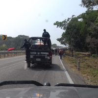 Redada contra centroamericanos en Chiapas; activista acusa a AMLO de complacer a Trump (Video)