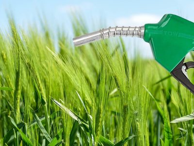 La producción de biocombustibles se incrementó en agosto