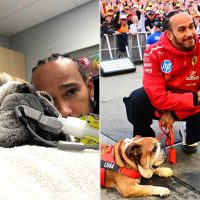 Qué le pasa al perro de Lewis Hamilton y por qué abandonó las pruebas TPC