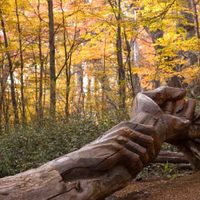Bosque Tallado: un viaje entre arte y naturaleza a 1420 metros de altura