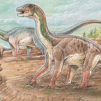 Descubren en Neuquén inusuales “patinadas” de dinosaurio de hace 130 millones de años