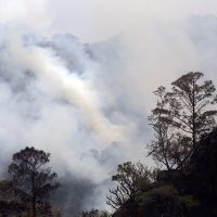 Brigadistas luchan por sofocar incendio en Tepoztlán; acusan indiferencia de Graco