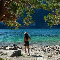 Playa El Francés: la joya secreta de la Patagonia para una escapada distinta