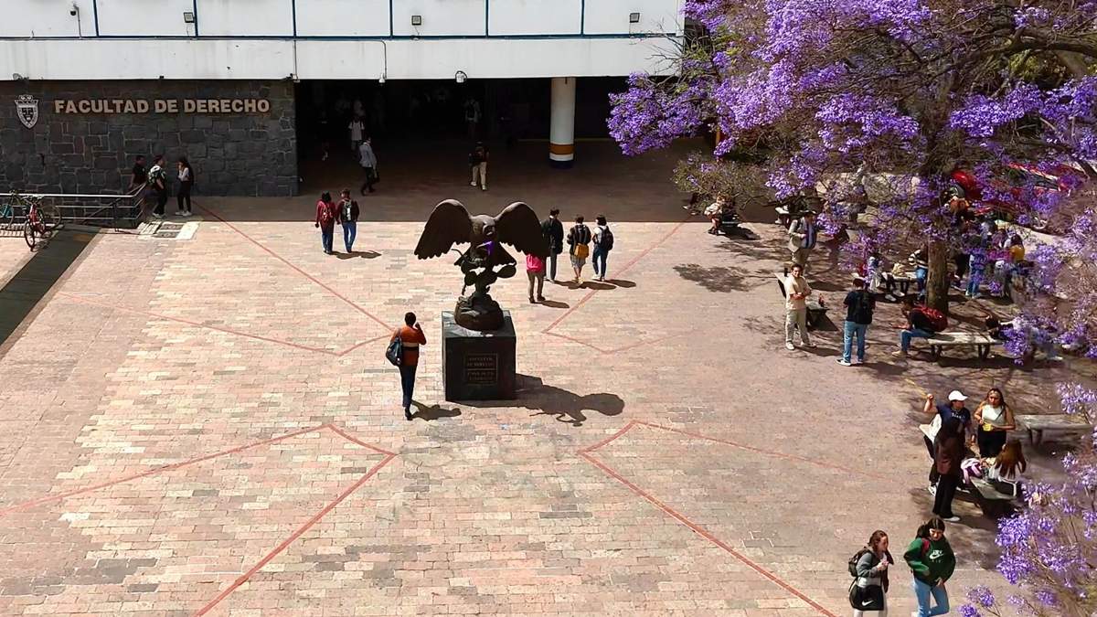 Un estudiante argumentó que el cobro de una cuota vulneraba su derecho a recibir una educación gratuita.