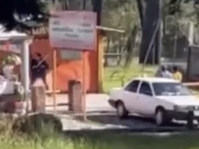 Dueños de un restaurante en la Picacho-Ajusco propinan golpiza a un perro (Video)