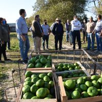 Alerta por la toma de tierras: qué solicitó la Federación de Productores de fruta ante el conflicto