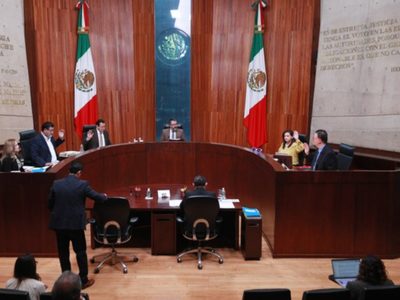 Tribunal revocó la sanción contra la activista Emma Zermeño por mensajes contra Almendra Negrete