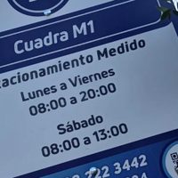 Continúa la polémica por el Estacionamiento Medido en San Martín de los Andes