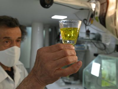 Alerta: qué es el dióxido de cloro y qué riesgos tiene en la salud