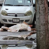 La paradoja de la violencia