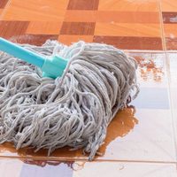 No gastés fortuna en el supermercado: con solo 5 ingredientes, prepará este limpiador para pisos