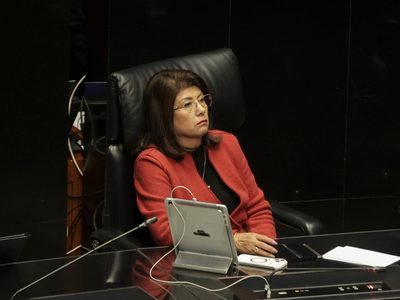 Senadora de Morena admite que ordenó sacrificar a 10 mil perros en Tecámac (Video)
