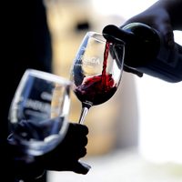 Fuerte crecimiento en la exportación de vinos durante los primeros dos meses del año