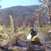 Avanza el control del incendio en el Parque Nacional Lanín: brigadistas trabajan en los sectores más críticos