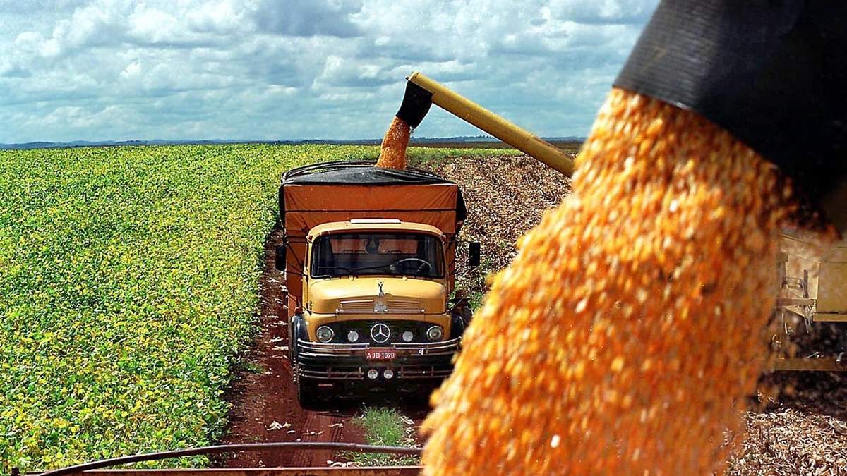 El Gobierno simplificó el traslado de granos con menos trámites