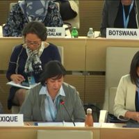 Viraje de México en el Consejo de Derechos Humanos de la ONU sobre crisis en Venezuela