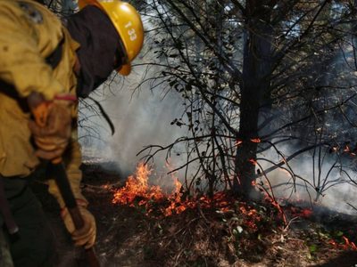 Tras la catástrofe en la Comarca Andina, Neuquén teme por nuevos incendios: qué está pasando