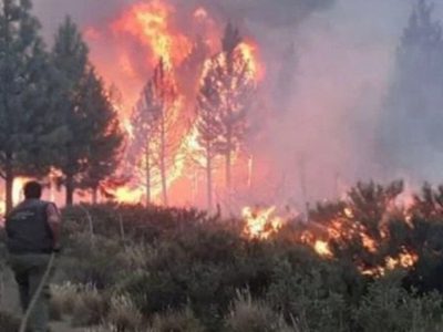 Aseguran que es "moderado" el índice de riesgo de incendios forestales en San Martín de los Andes