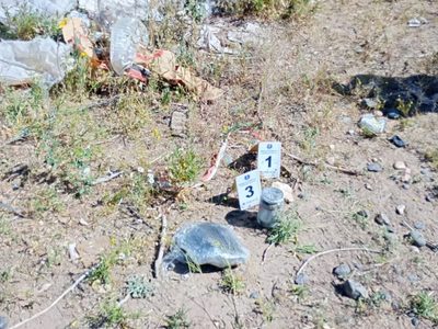 La Policía encontró drogas y un arma tirada en una calle del barrio Colonia Nueva Esperanza