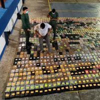 Narcos mexicanos, “actores cada vez más relevantes”