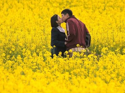 Esta serie coreana de Netflix fue elegida la mejor del año y te va a pegar directo al corazón