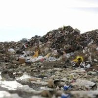 Santa Cruz: conmoción en Caleta Olivia por una joven que murió tras consumir alimentos de la basura