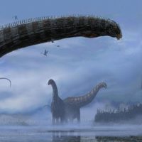 Los dinosaurios podrían haber tenido infecciones respiratorias: hallaron pruebas en restos fósiles