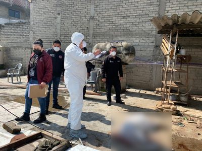 Catean casa de familia que mató a golpes a un perro en Tlalnepantla