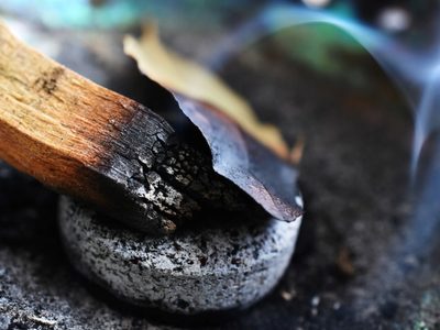 La planta "mágica" que tenés que quemar para aliviar los dolores de cabeza y limpiar la energía del hogar