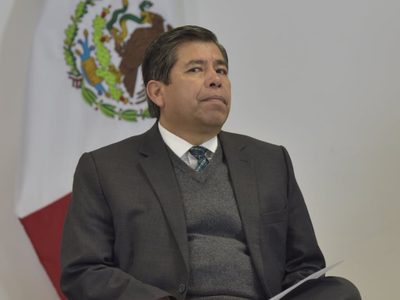 El INM "no ha sido consultado" sobre iniciativa de Ley General de la Guardia Nacional: Guillén