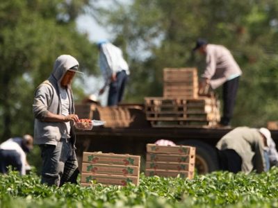 Petición a EU sobre trato laboral a migrantes, sin relación con conflicto en Silao: AMLO