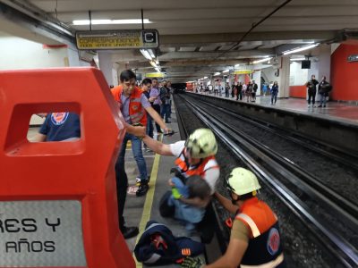 Ahora fue una gallina la que interrumpió el servicio en el Metro