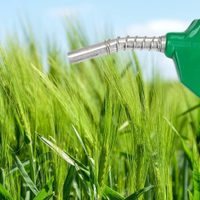 Energía autorizó aumentos en el bioetanol y el biodiésel