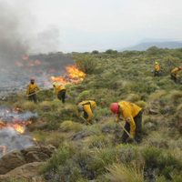 Ante los múltiples incendios, el gobierno de Neuquén buscará decretar la Emergencia Ígnea