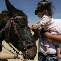 Se conmemora el Día Internacional del Síndrome de Asperger: ¿qué es y cómo afecta?