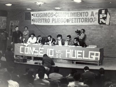 Distorsión de la identidad: de luchadores revolucionarios a “mártires” y “víctimas”