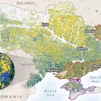 NASA: Rusia controla un 22% de las tierras de cultivo de Ucrania