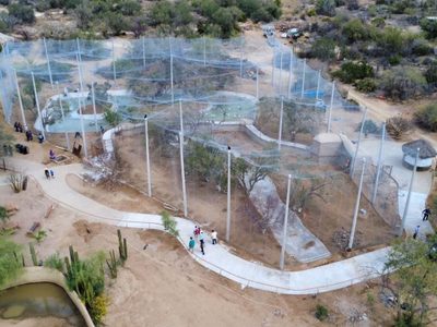 Gobernador Durazo impulsa obras clave de infraestructura y medio ambiente; avanza Parque Ostimuri