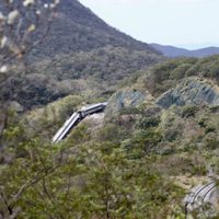 Detienen al conductor del Tren Interoceánico que se descarriló