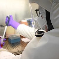 ¡Coronavirus en jaque! La ciencia afirma que la Argentina puede "ponerle un freno"
