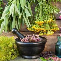 5 plantas que tenés en tu casa y que pueden ayudarte a superar todo tipo de emociones negativas