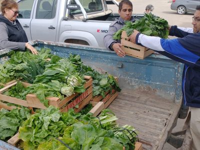 Donaron verduras a la sede de Cáritas en Plottier