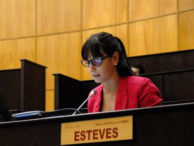 Esteves: “Voté en contra del boleto estudiantil porque desconocemos el costo fiscal”