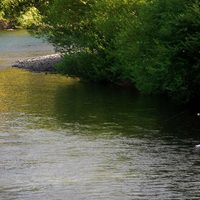 Inició el curso para guías de pesca en Junín de los Andes