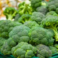 El tallo del brócoli no lo tires: hacé esta receta exprés y deliciosa para sumar a una picada