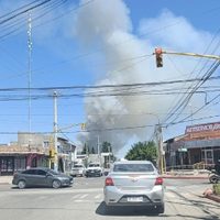 Bomberos combaten un Importante incendio forestal en Plottier