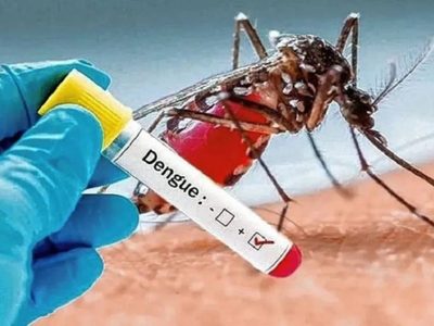 Neuquén trabajará con los municipios y la UNCo en el desarrollo del Plan Provincial contra el dengue